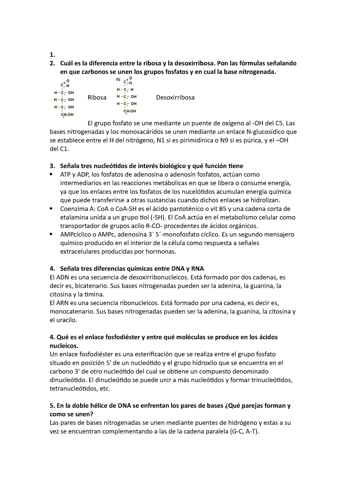 TEMA 6 - Apuntes 6 - 1. Cuál es la diferencia entre la ribosa y la ...