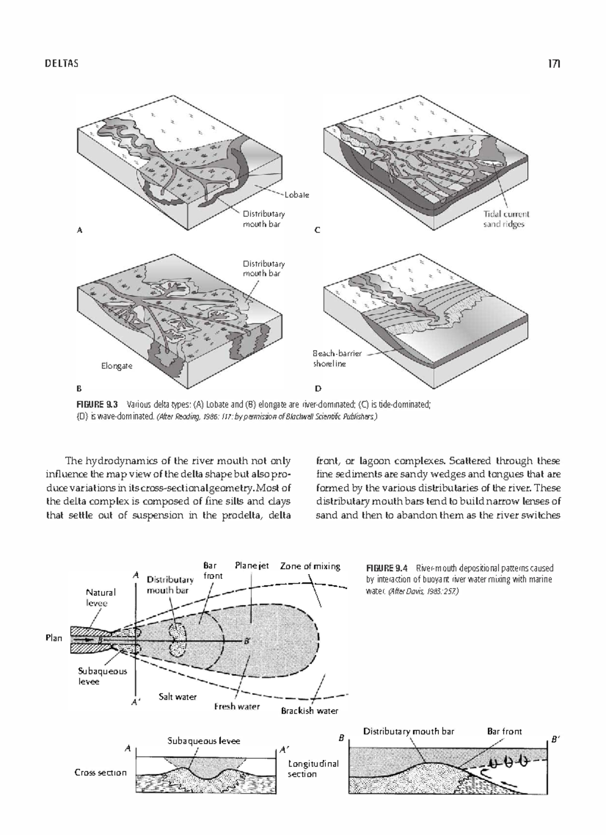 Sedimentary Geology ( PDFDrive )21 DELTAS 171 A B Elongate
