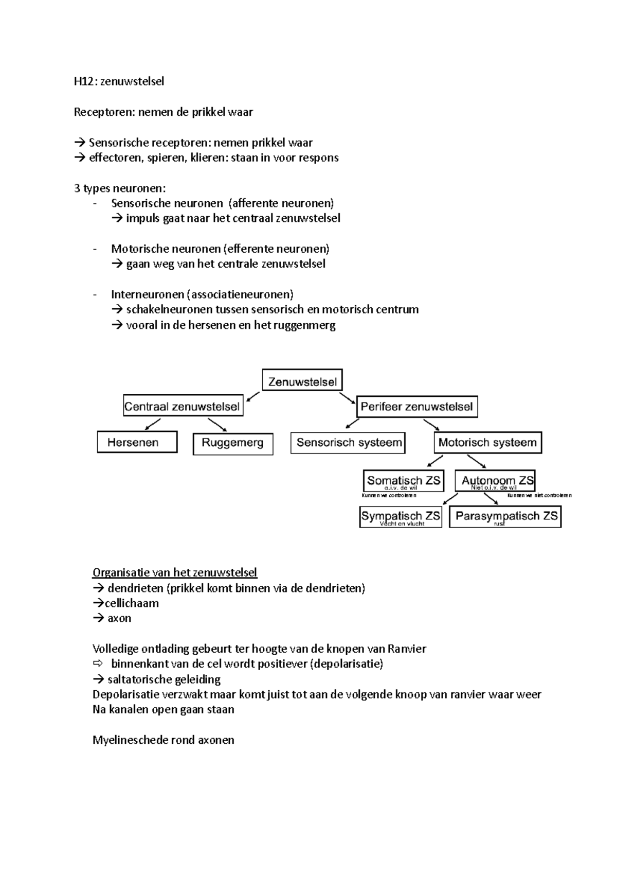 H12 Zenuwstelsel Samenvatting H12 H12 Zenuwstelsel Receptoren