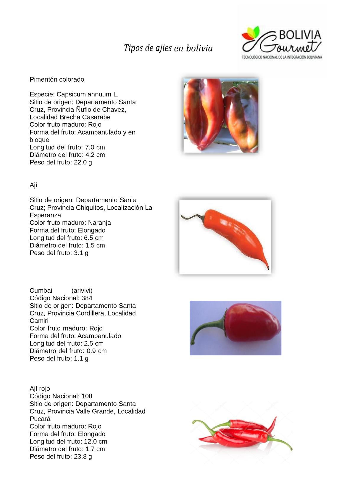 Tipos de Ajies en Bolivia Tipos de ajiesen bolivia Piment n