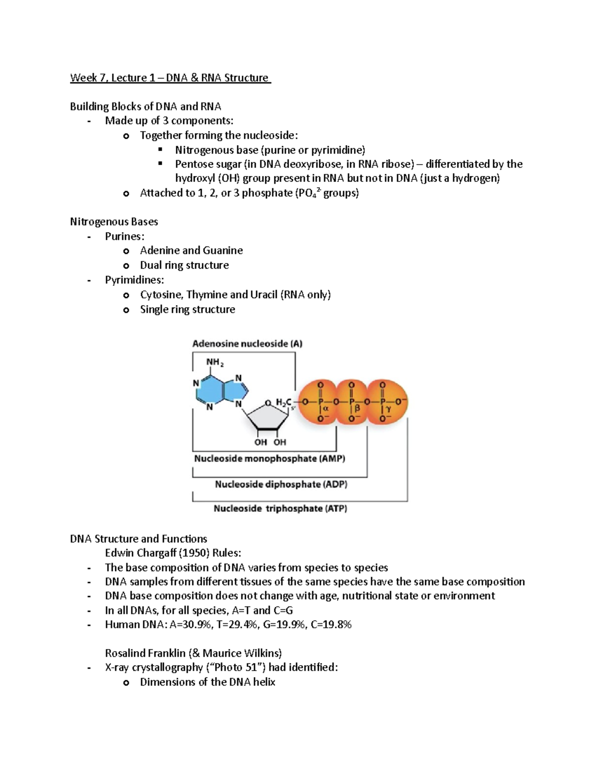 module-3-allingham-week-7-lecture-1-dna-rna-structure