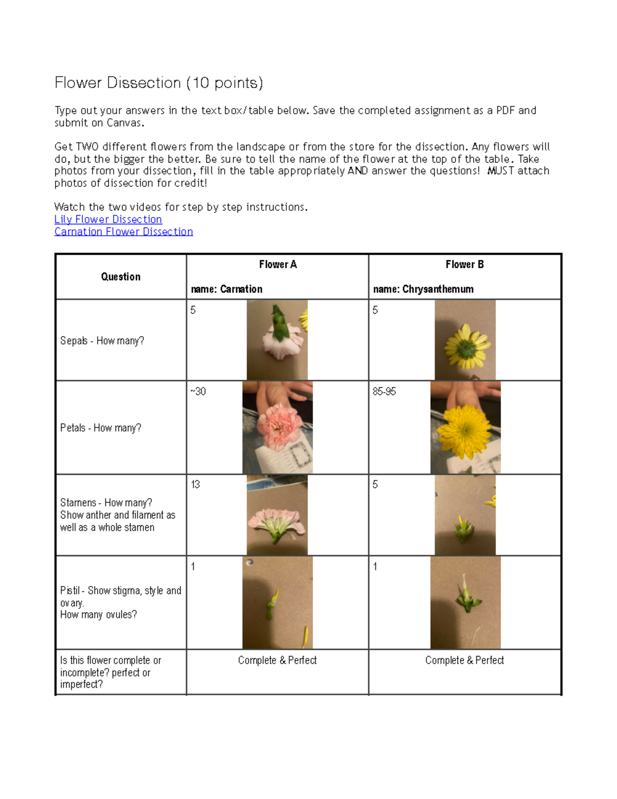 6 Assignment Flower Study Flower Dissection (10 points) Type out your
