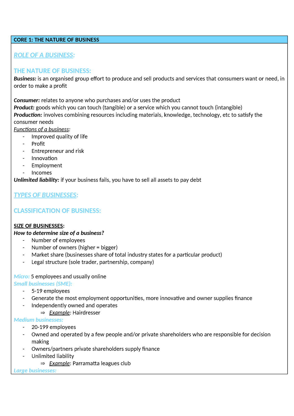 Year 11 Business Prelim Notes - CORE 1: THE NATURE OF BUSINESS ROLE OF ...