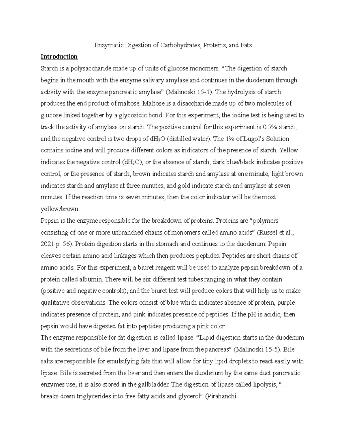 Digestive system report - Enzymatic Digestion of Carbohydrates ...