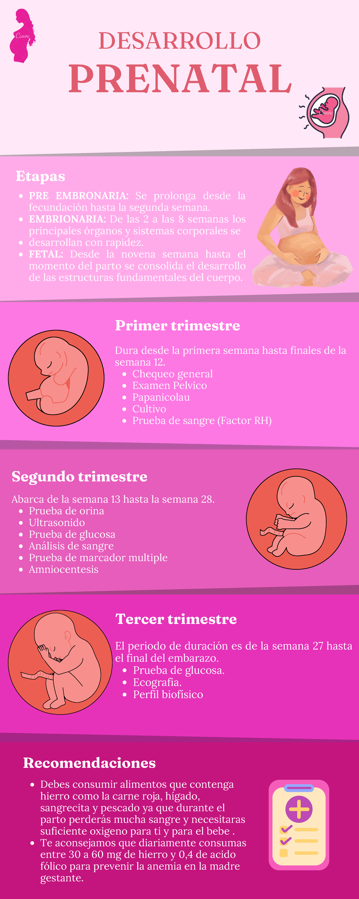 Desarrollo Prenatal Y Nacimiento Mind Map Sexiz Pix