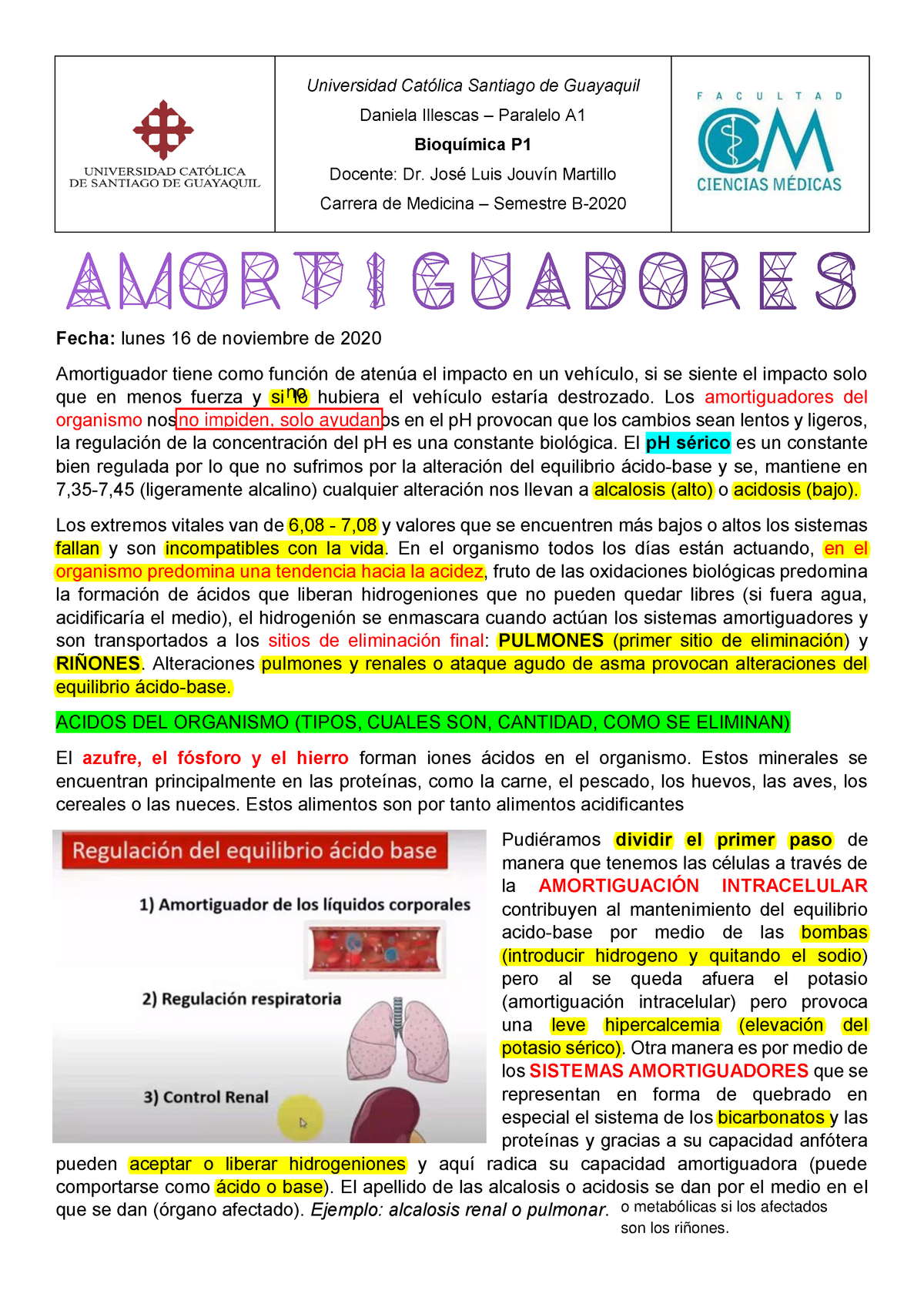 insulto Humildad colorante 7. Amortiguador ( Parte I), segundo semestre de medicina - Universidad  Católica Santiago de - Studocu
