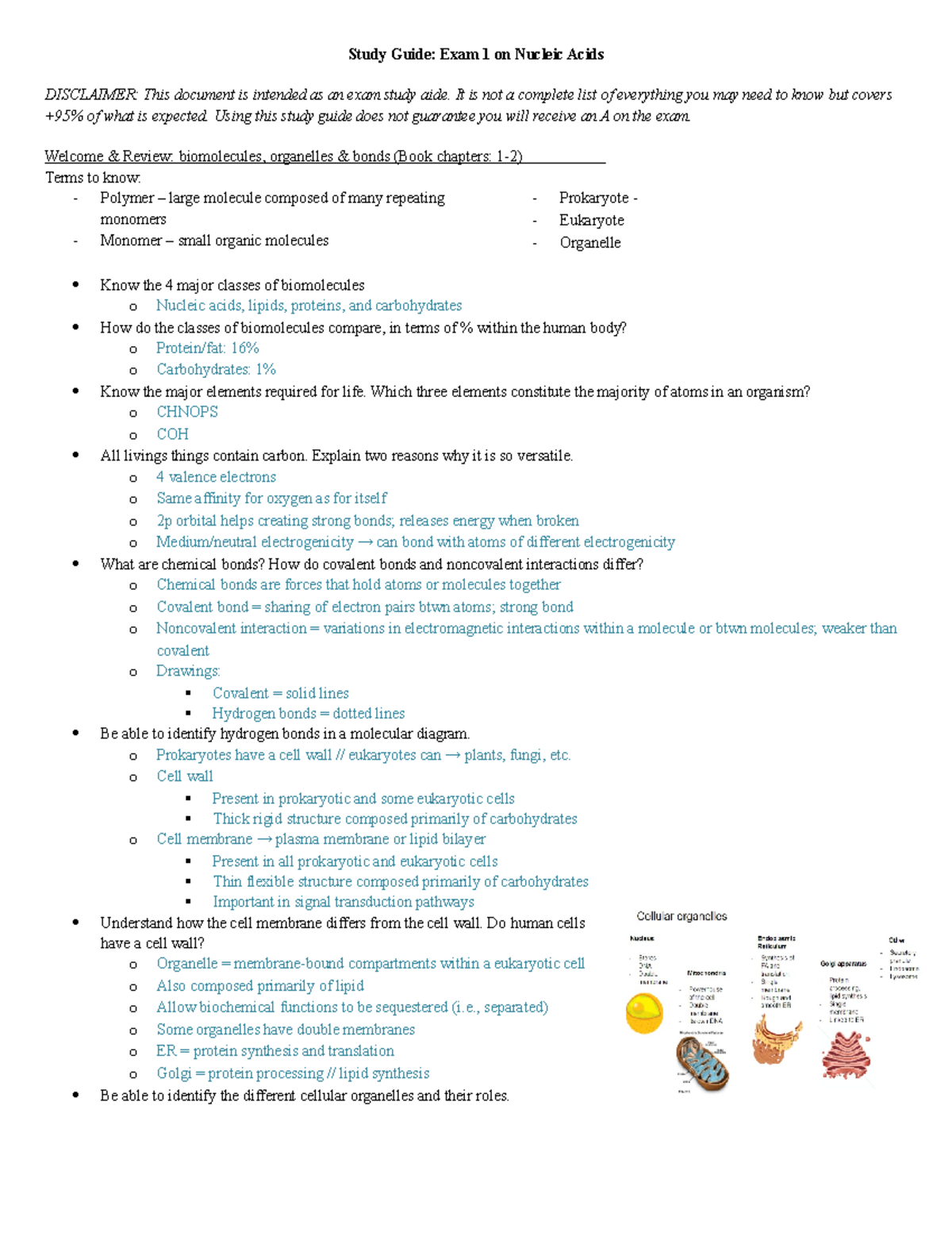 Exam 1 Nucleic acids study guide Study Guide Exam 1 on Nucleic