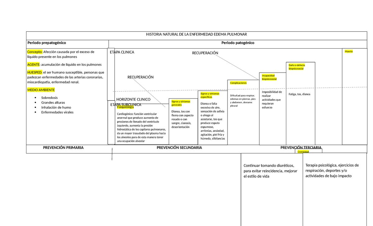 Historia Natural De La Enfermedad Edema Pulmonar