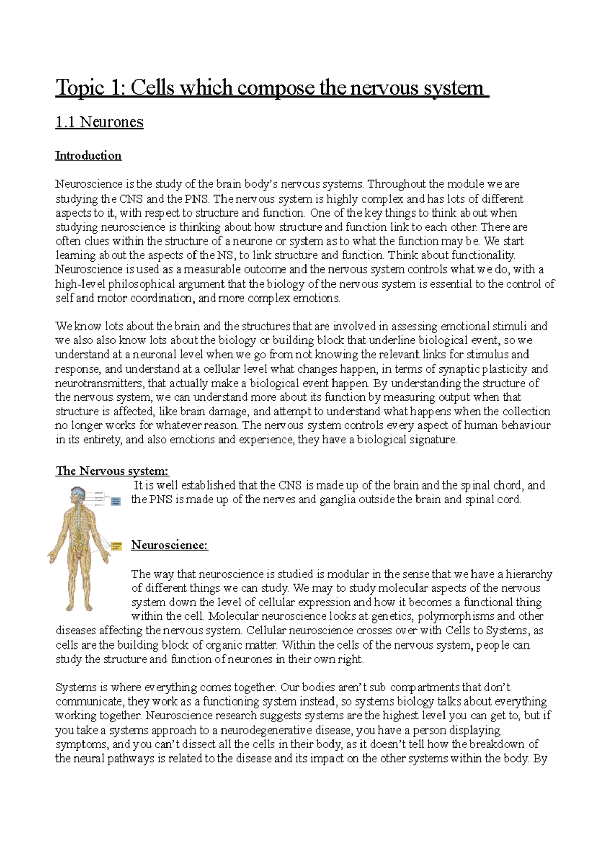 Topic 1- Neurons - Topic 1: Cells Which Compose The Nervous System 1 ...