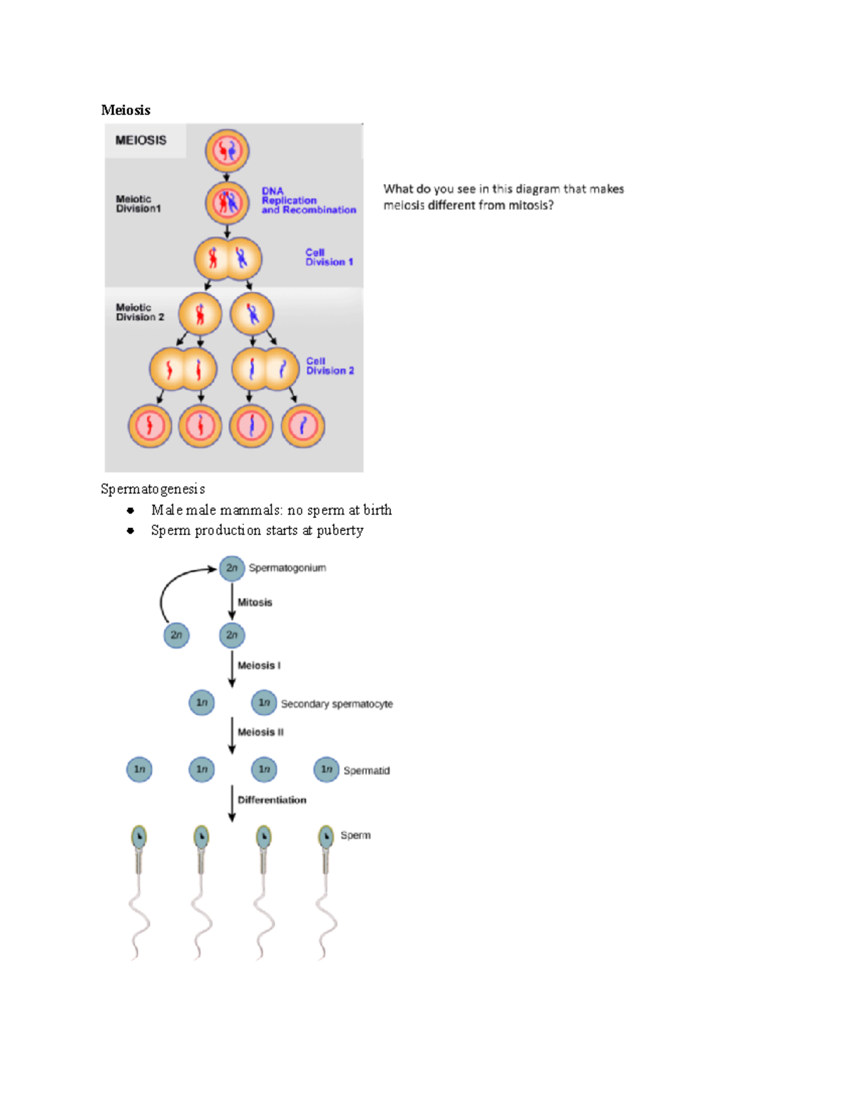 Unit 4 Ap Biology Reviewregister.Html - 5iiq571