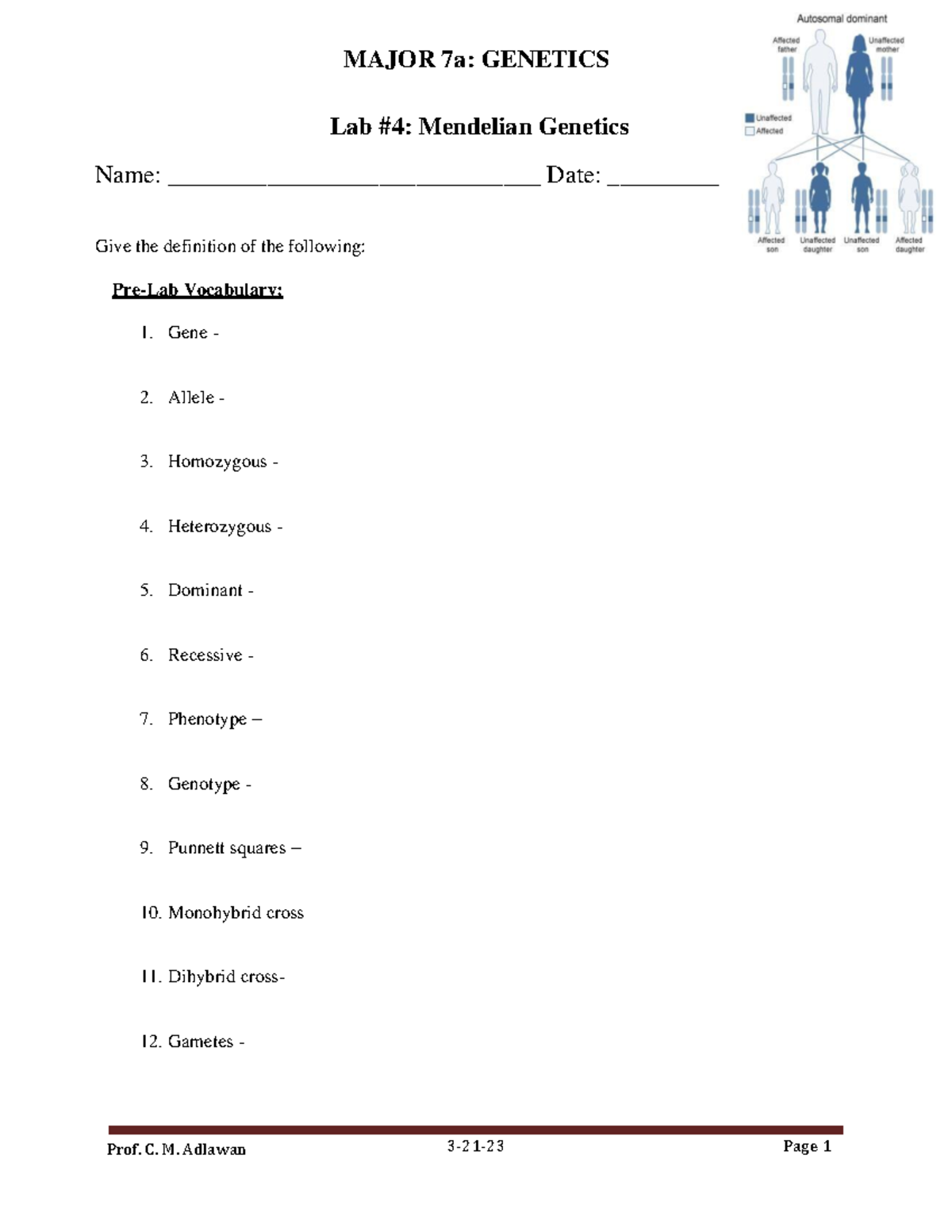 Lab 4 Lab 4 Mendelian Name