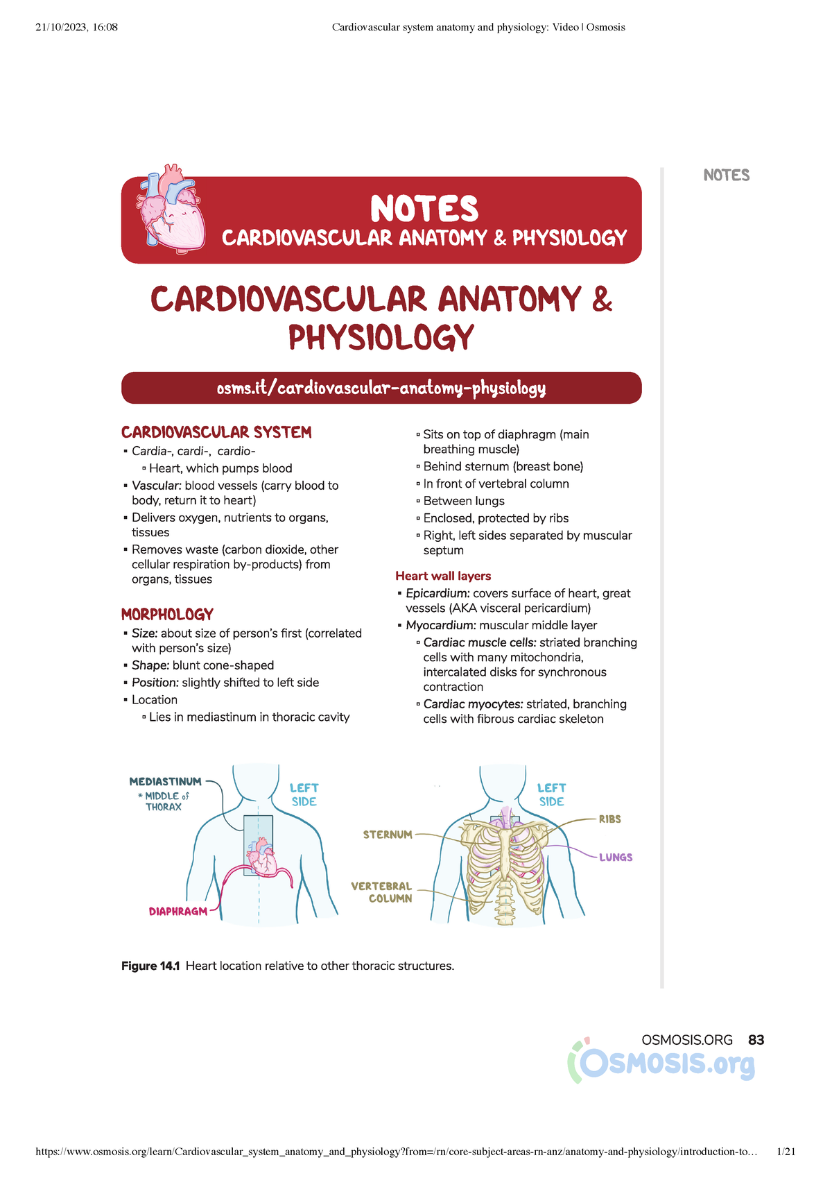 Cardiovascular System Anatomy And Physiology Video Osmosis - - Studocu