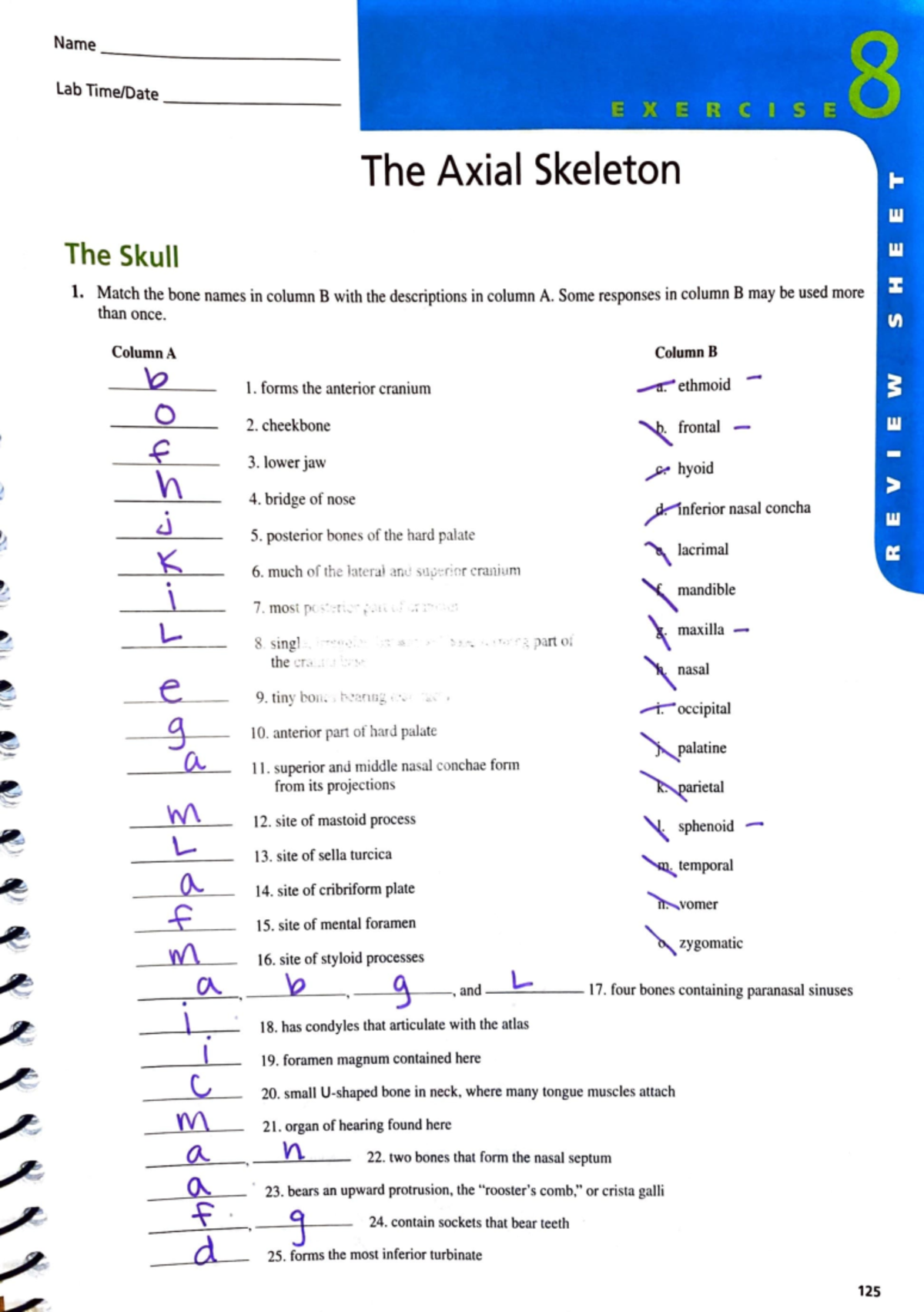 Lab Exercise 8