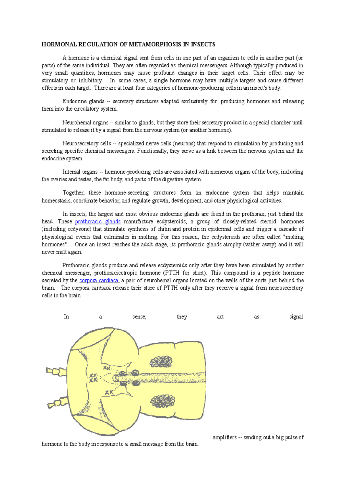 Hormonal Regulation OF Metamorphosis IN Insects HORMONAL REGULATION