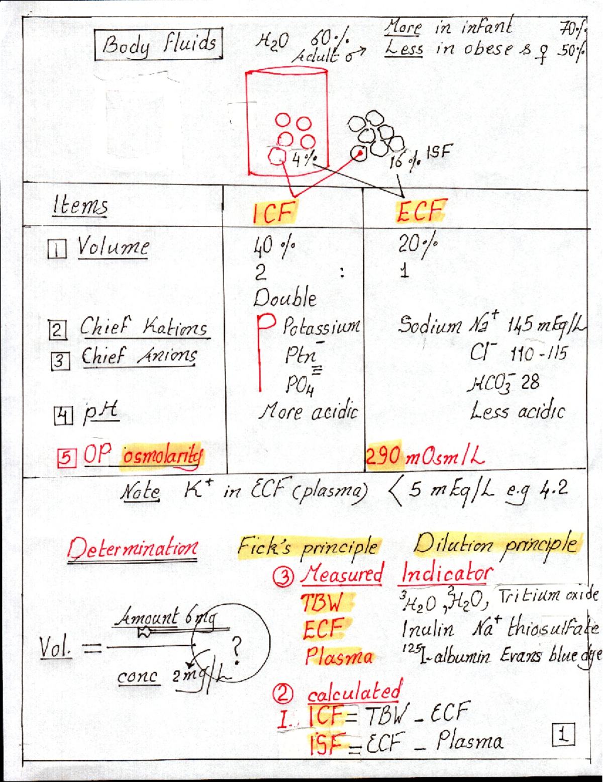 Introduction.1st.year - physiology - Studocu
