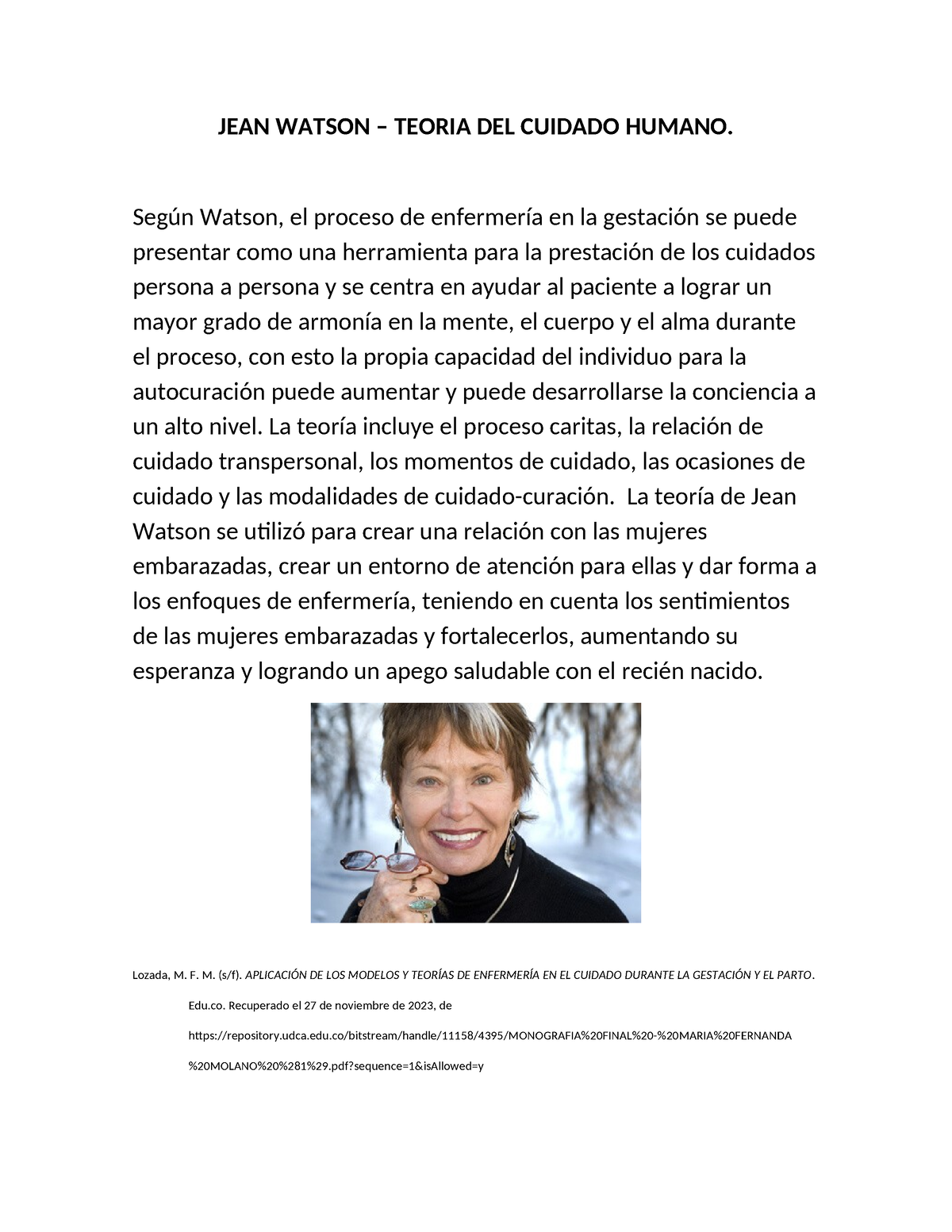 jean watson teoría del cuidado