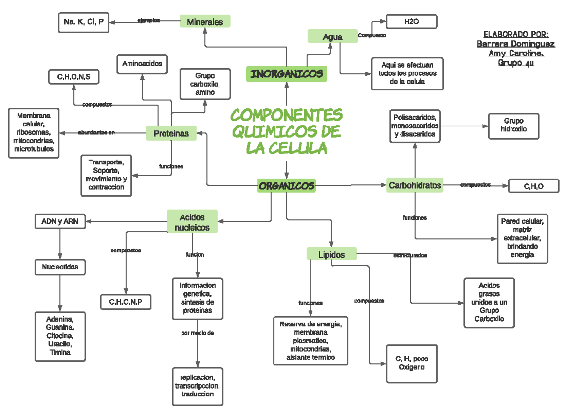 Compuestos Organicos E Inorganicos De La Celula