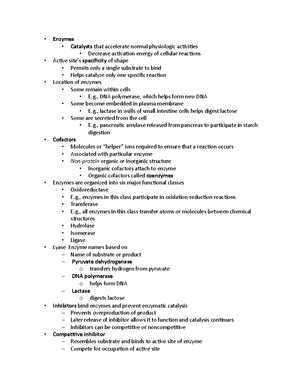 Anatomy Lab #5 Homework - Homework- Anatomy Lab True/False 1.__humerus ...