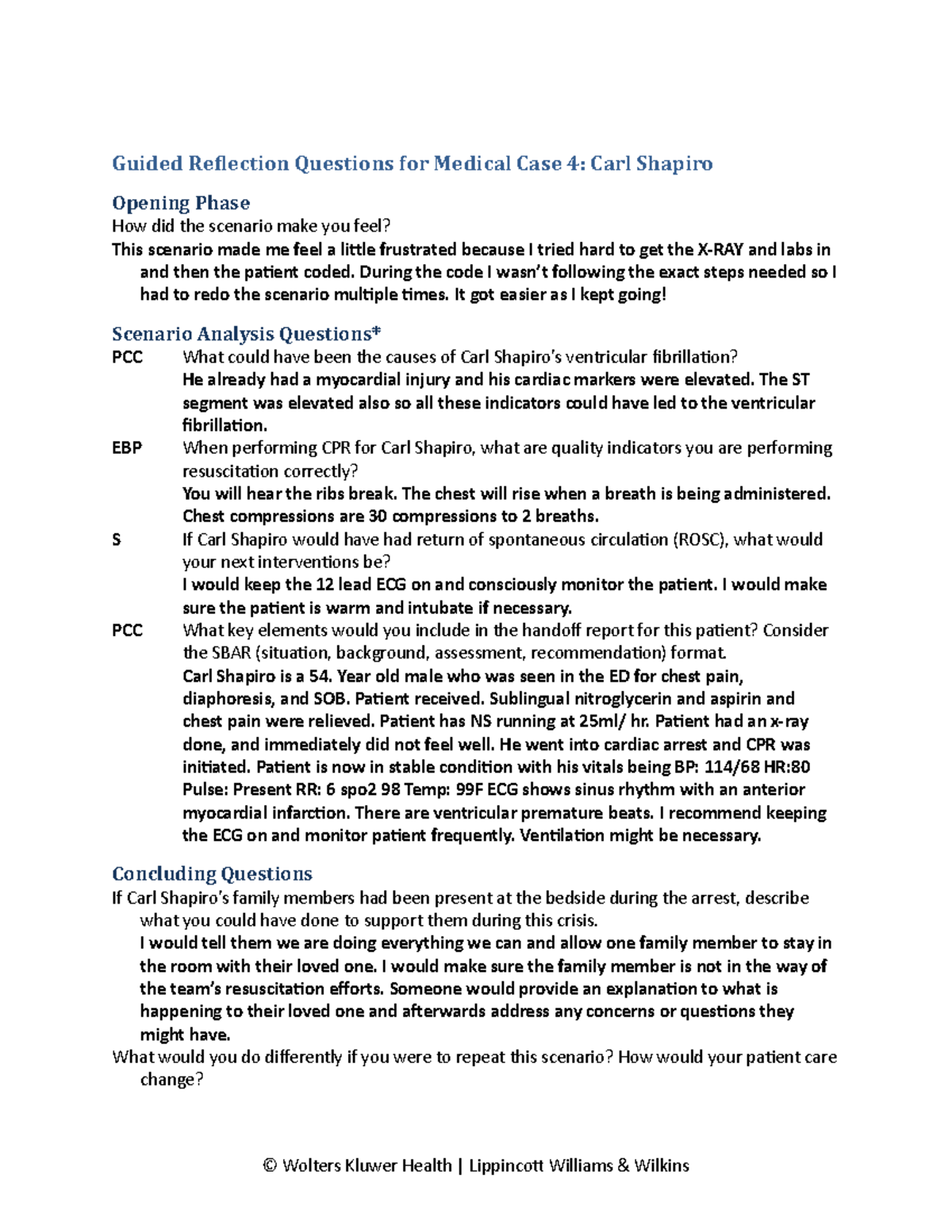 Carl shapiro guided relfection questions. VSIM - Guided Reflection ...