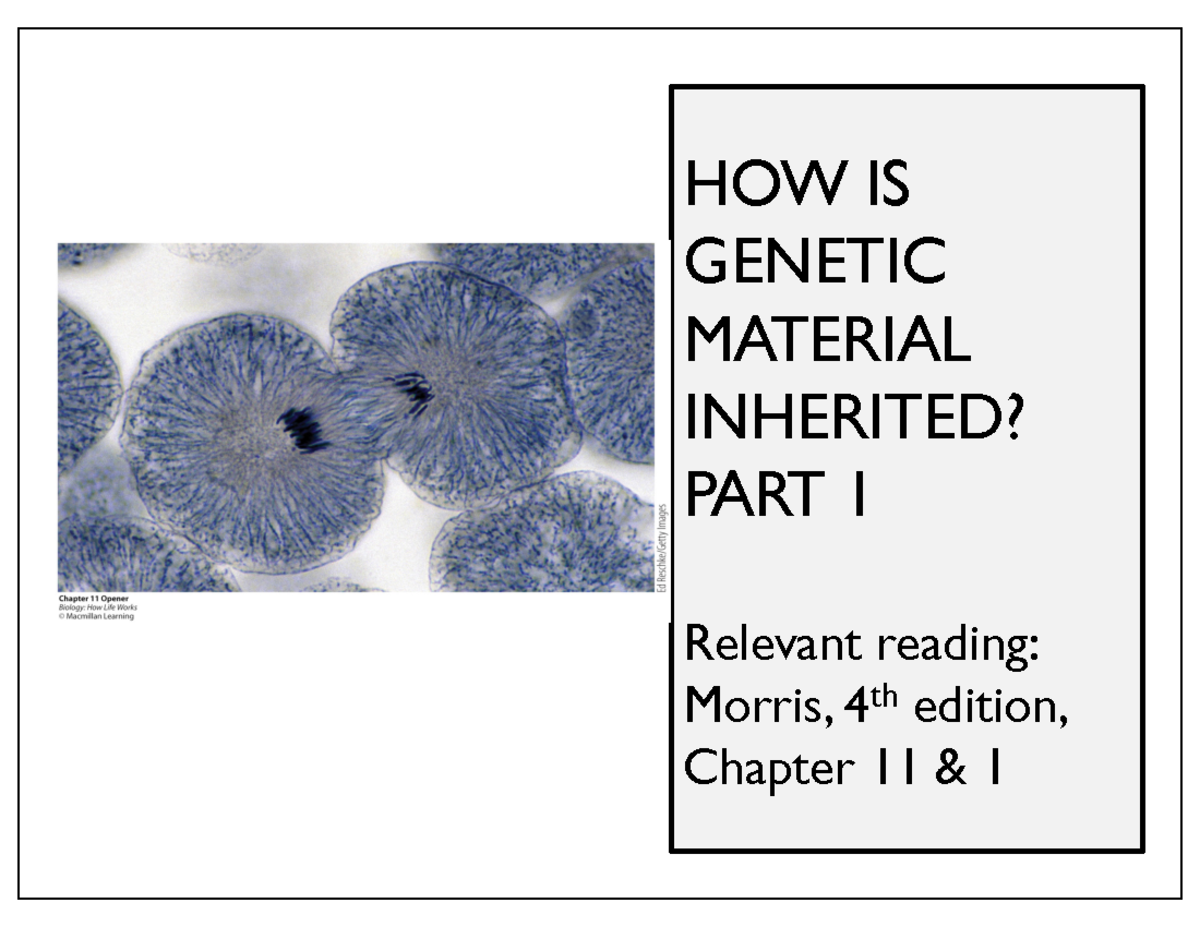 Lec 6 - A01 - Module 2 (Oct 20) - HOW IS GENETIC MATERIAL INHERITED ...