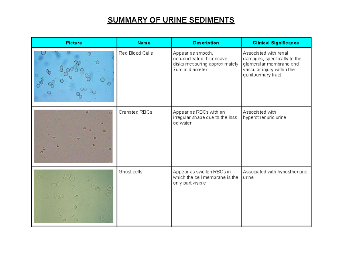 AUBF Summary Of Urine Sediments - Picture Name Description Clinical ...