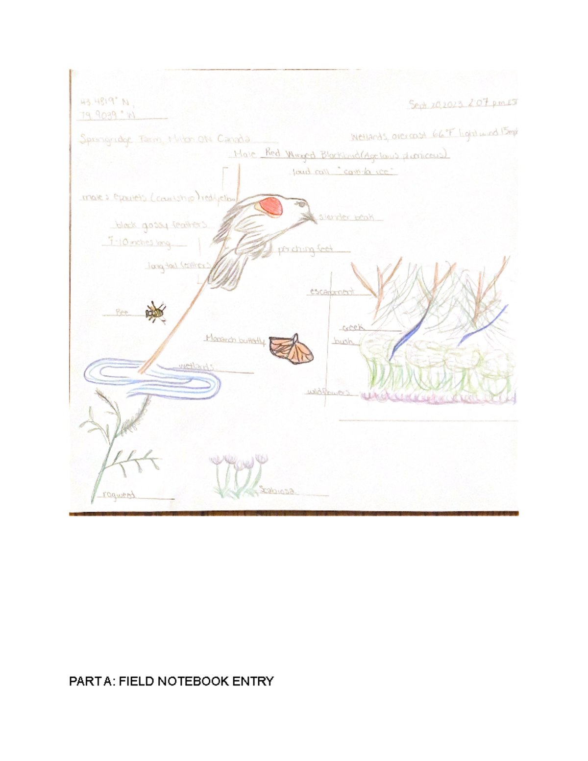 Tutorial 1 Field Journal PART A FIELD NOTEBOOK ENTRY 2 a minimum