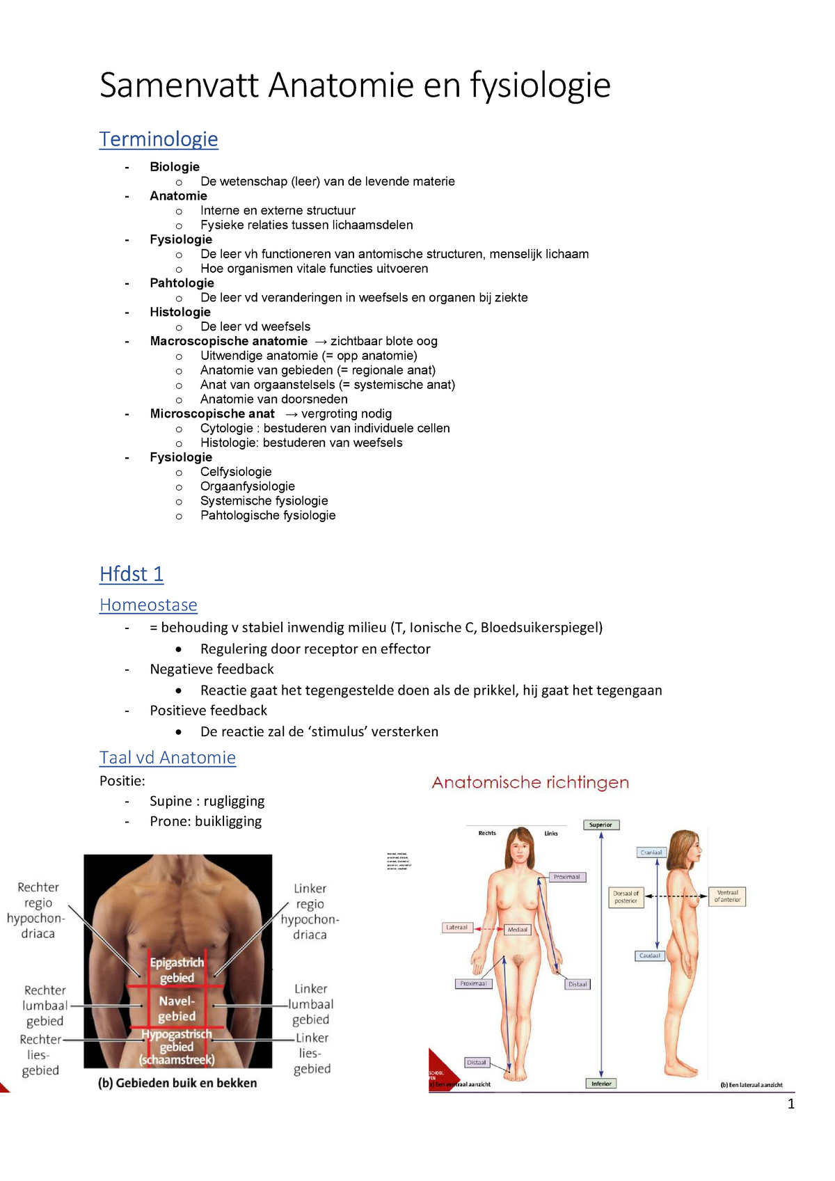 Cursus Anatomie Fysiologie 1 Samengevat - Samenvatt Anatomie En ...