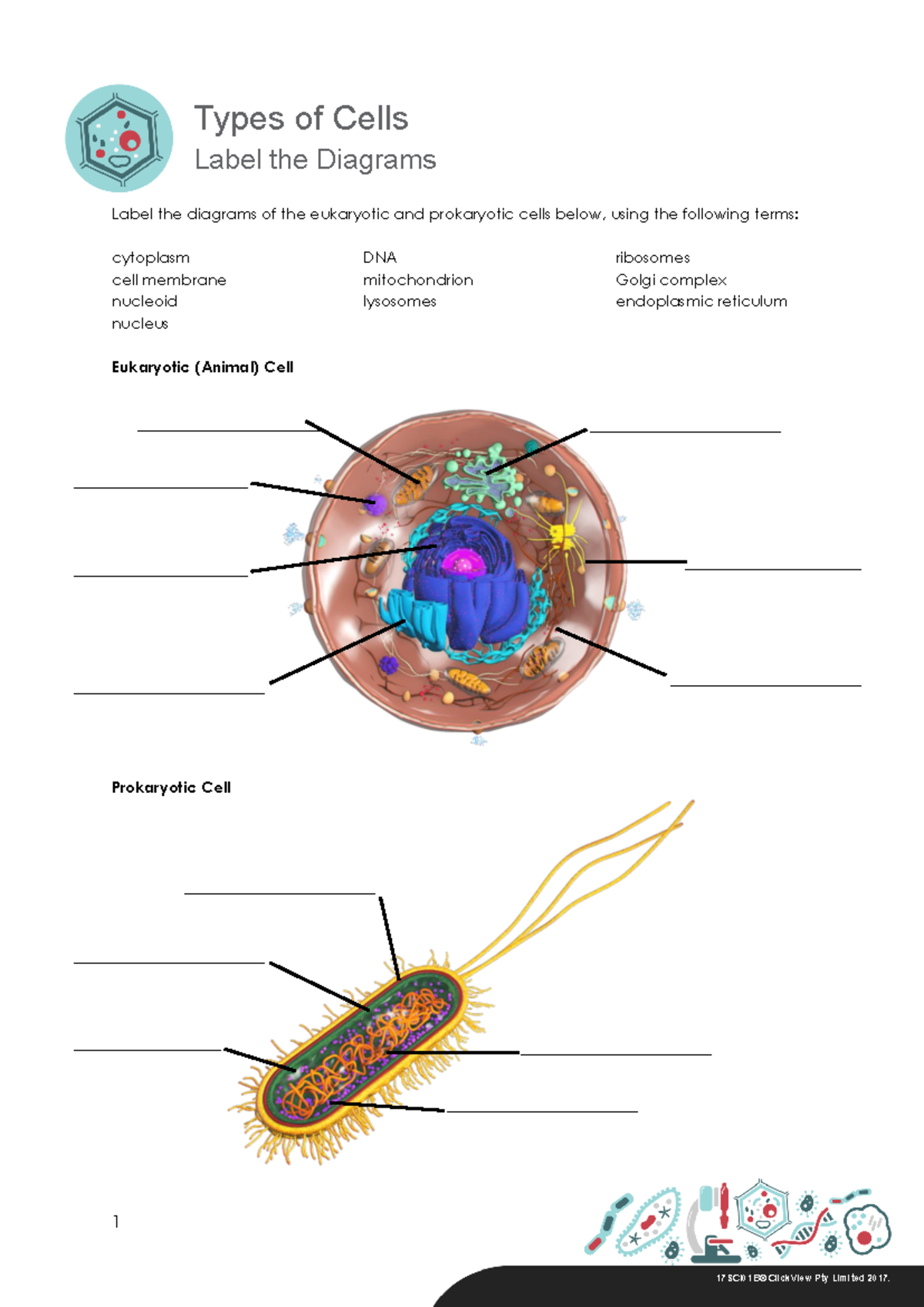Label the Diagrams - Cells - 1 Types of Cells Label the Diagrams ...
