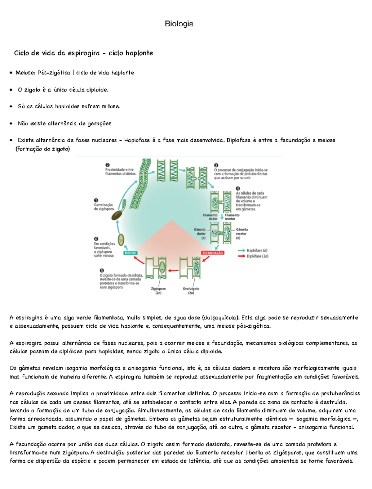 Biologia - Biologia Ciclo de vida da espirogira - ciclo haplonte Meiose ...