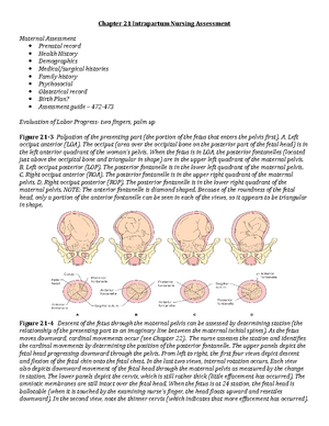 CH 19 Fetal Assessment Notes - Chapters 19 Assessment of Fetal Well ...