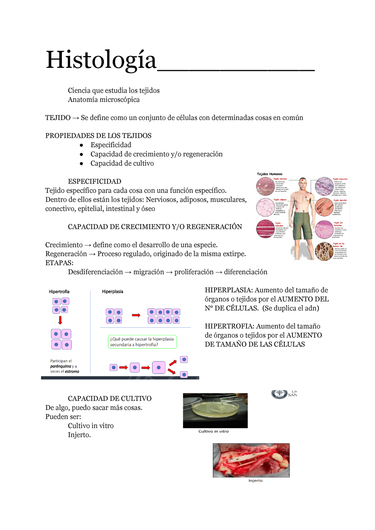 Histologia Histolog A Ciencia Que Estudia Los Tejidos Anatom A Microsc Pica Tejido