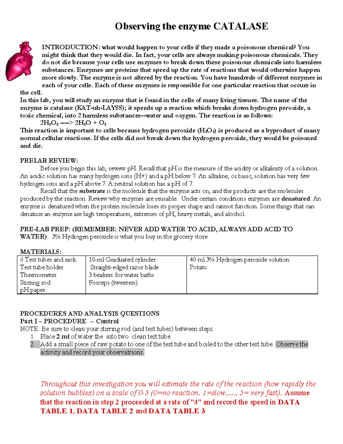 catalase-lab-biology-2021-pdf-gupta-l-observing-the-enzyme-catalase