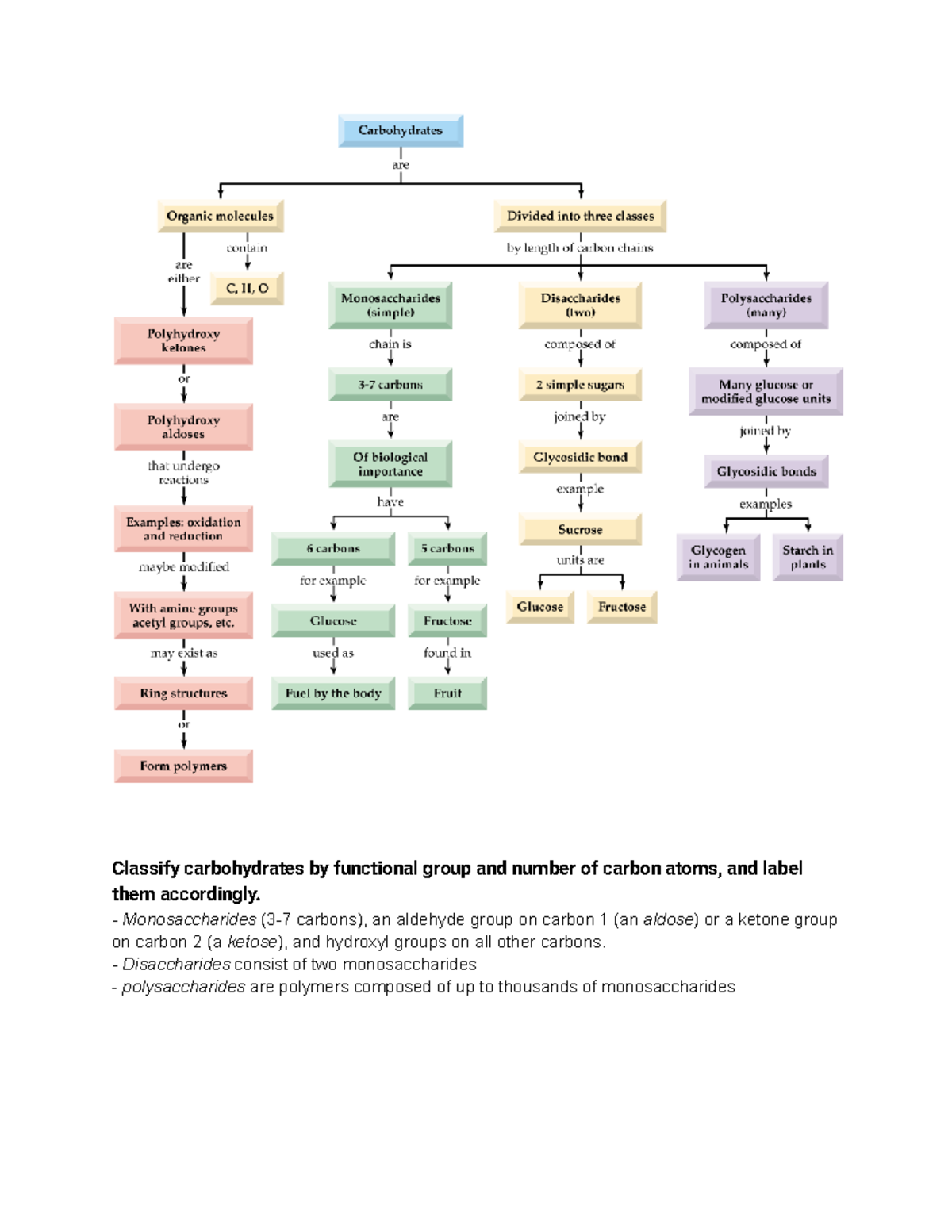 Carbohydrates Functional Groups Carbon Atoms and Classification Studocu