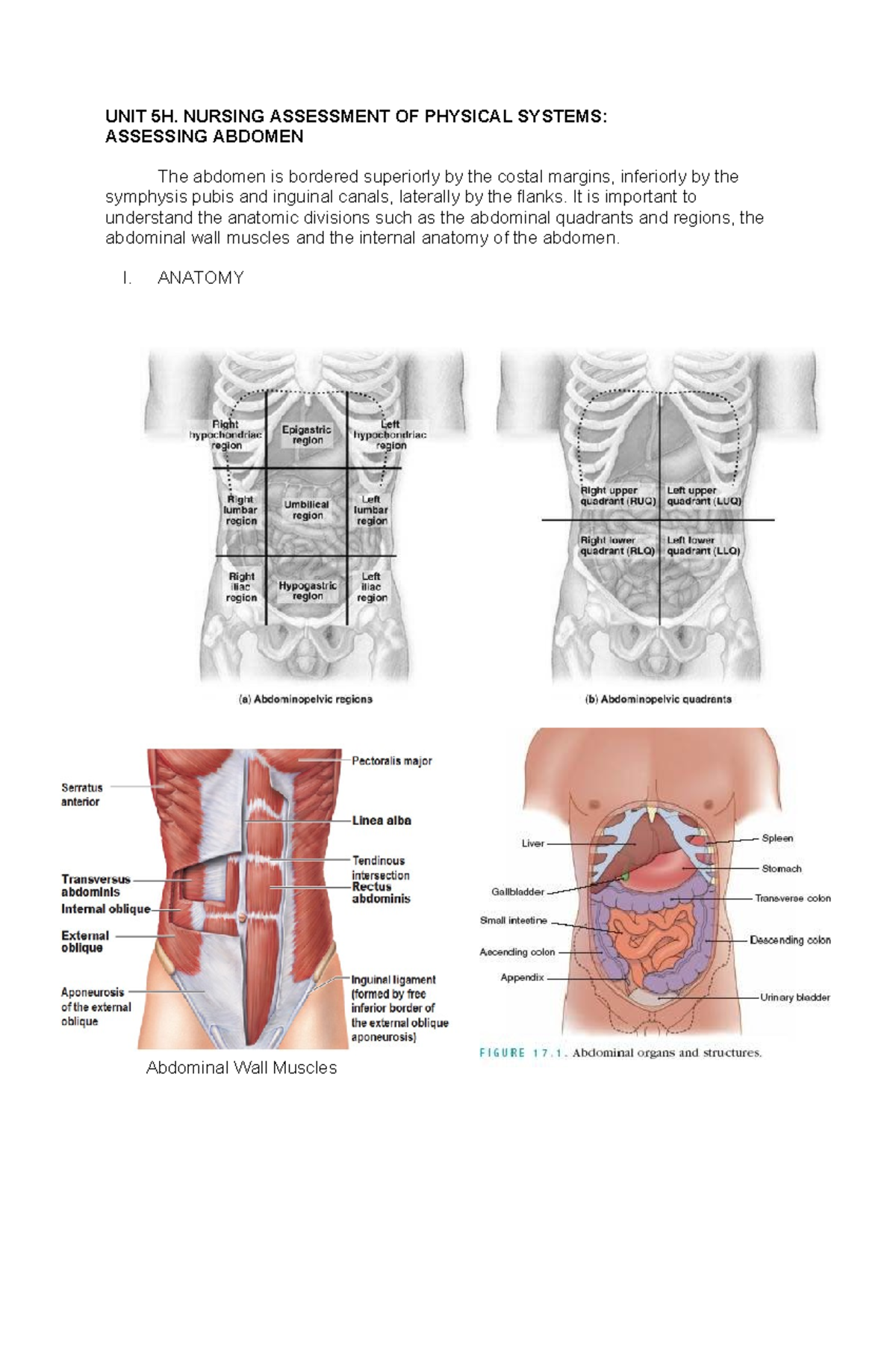 Unit-5H-Abdomen - shdjjdjd - UNIT 5H. NURSING ASSESSMENT OF PHYSICAL ...