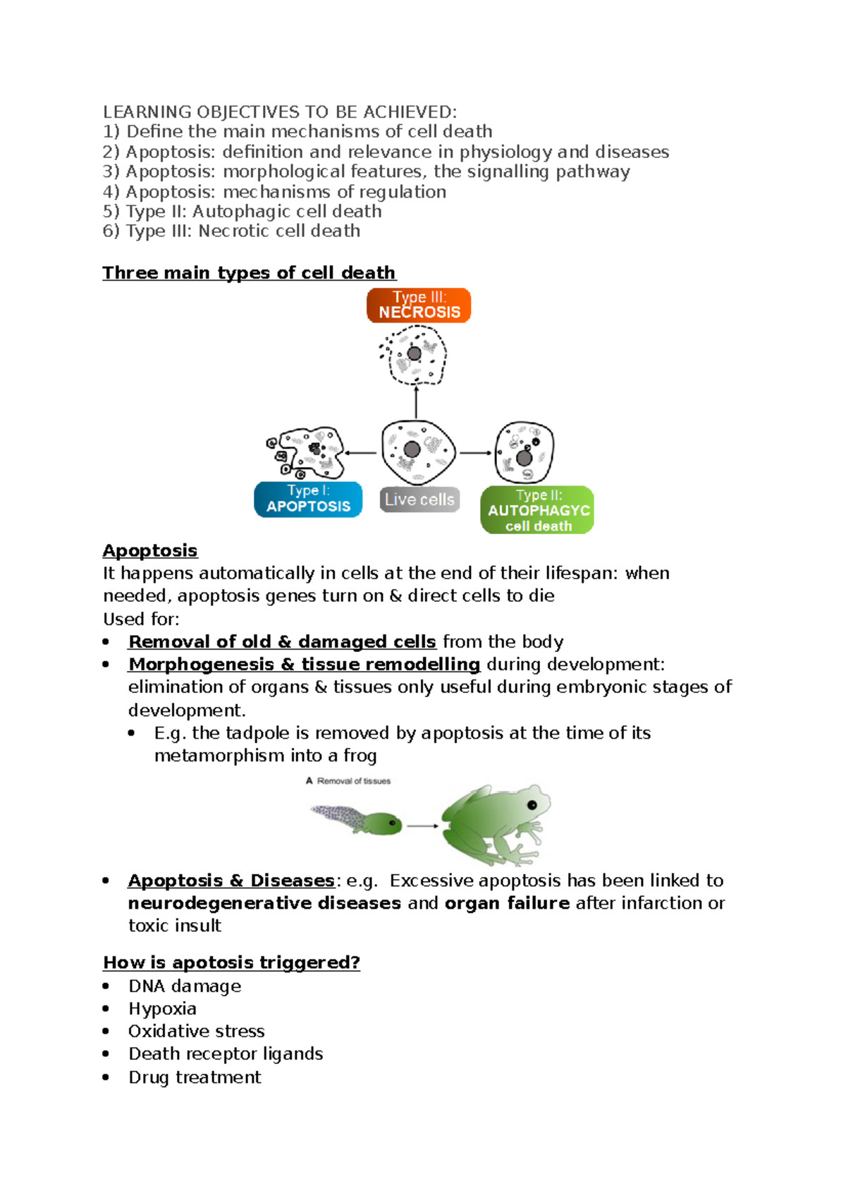 Week 12 cell death mechanisms - LEARNING OBJECTIVES TO BE ACHIEVED ...