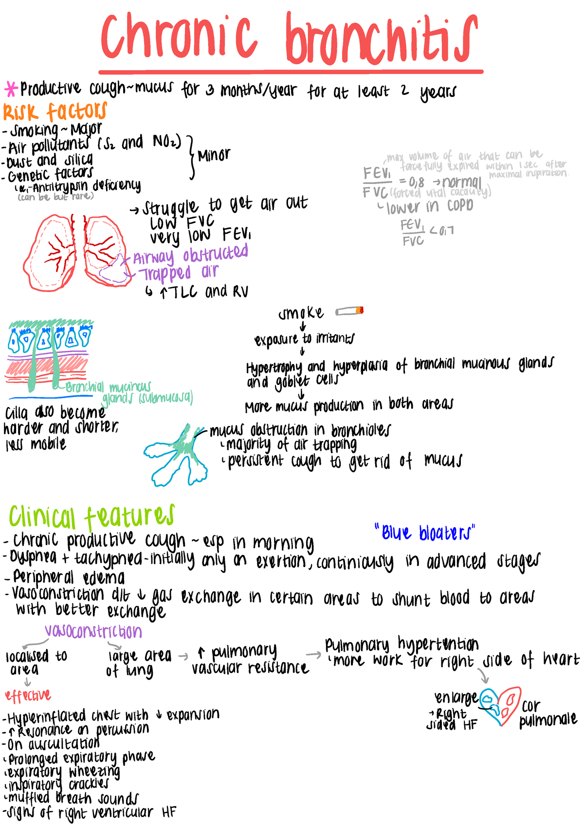 Chronic obstructive pulmonary disease high yield - chronic bronchitis ...