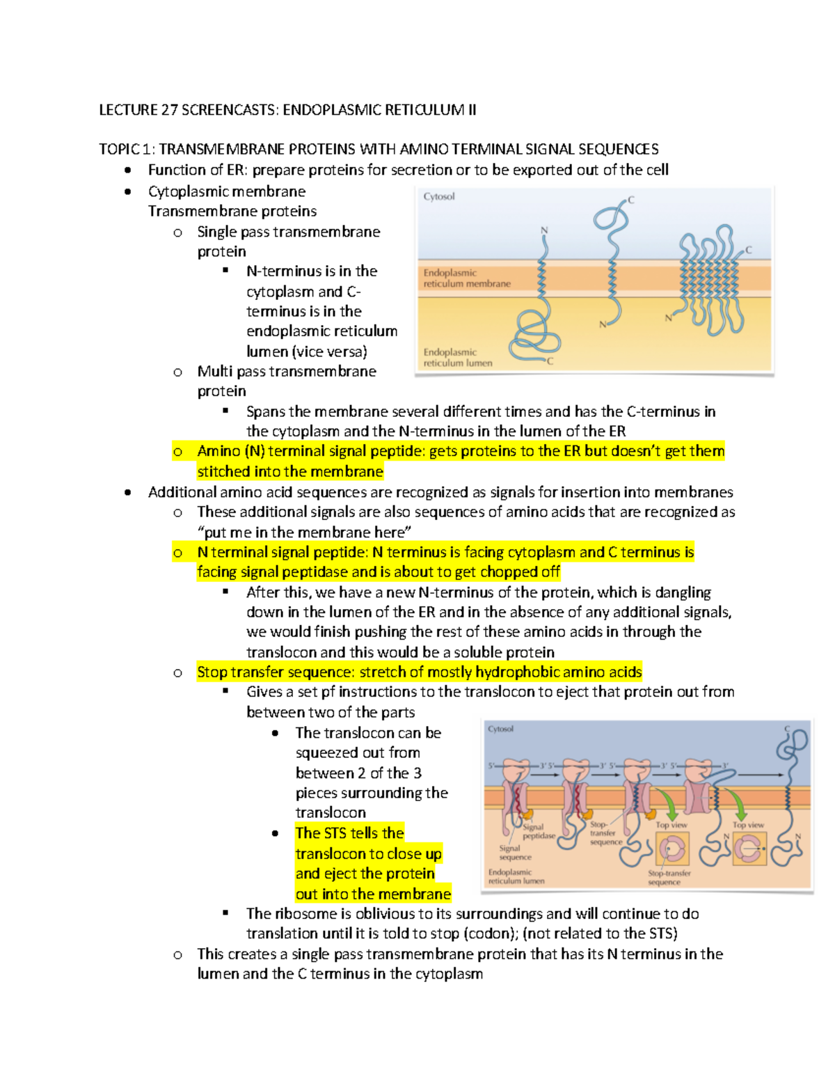 Lecture 27, 28, 29 notes - LECTURE 27 SCREENCASTS: ENDOPLASMIC ...