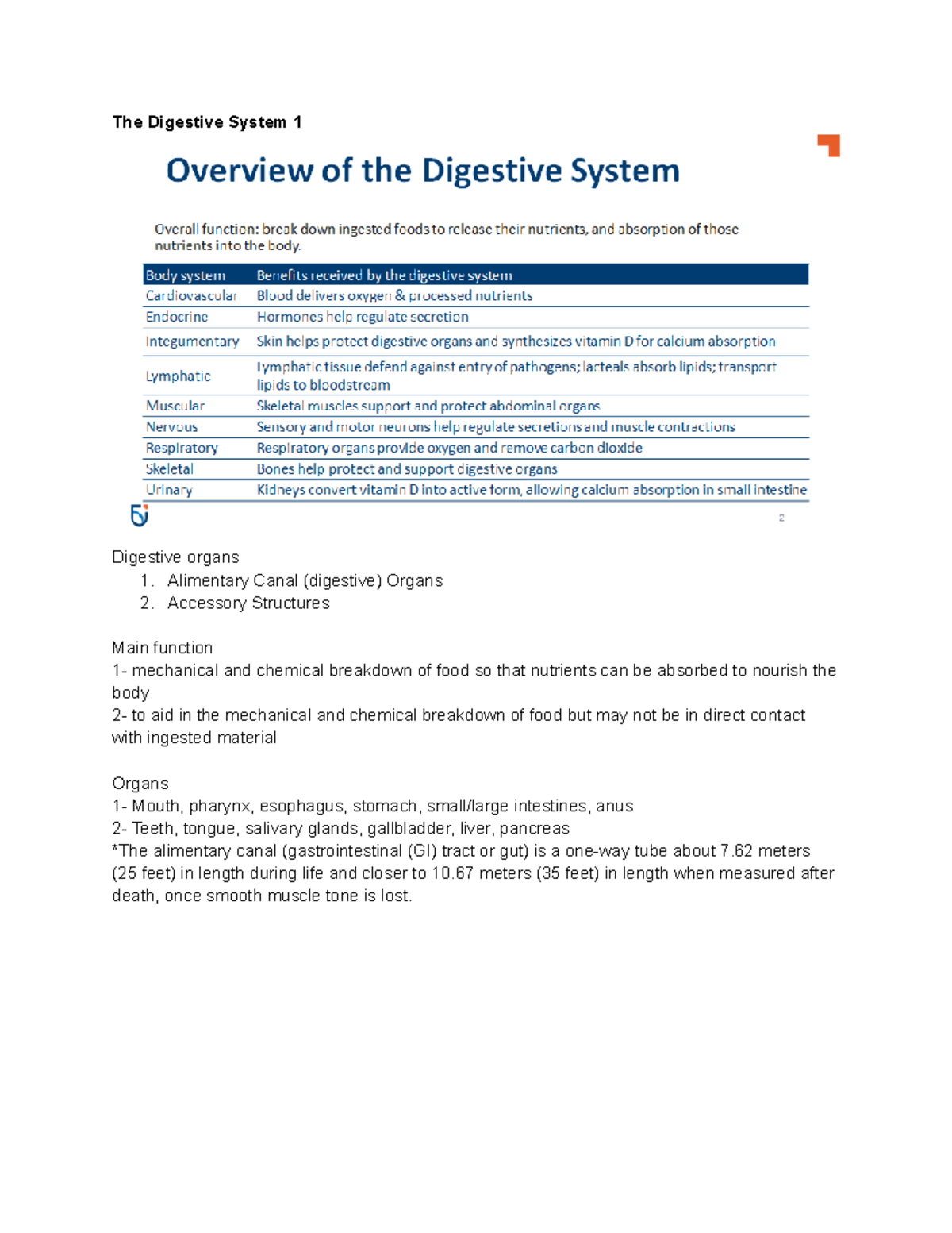 A&P II Module 4 - Digestive System - The Digestive System 1 Digestive ...