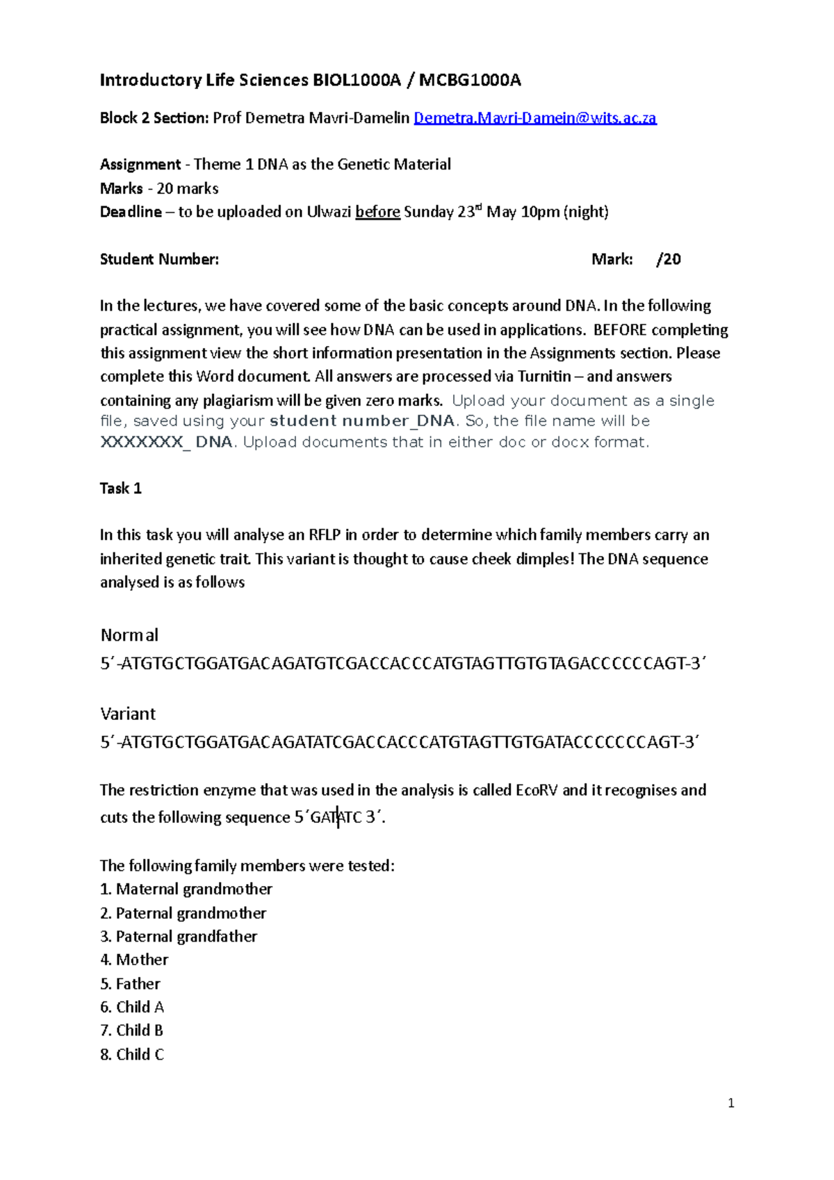 damelin assignment answers