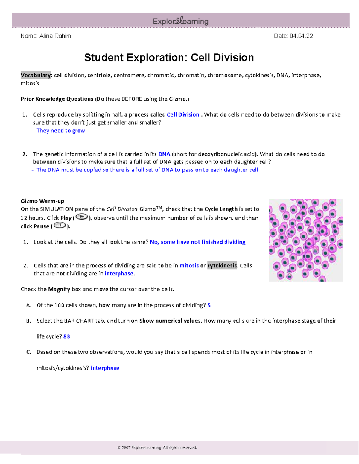 SCI 02 Cell Division Gizmo - Name: Alina Rahim Date: 04. Student ...