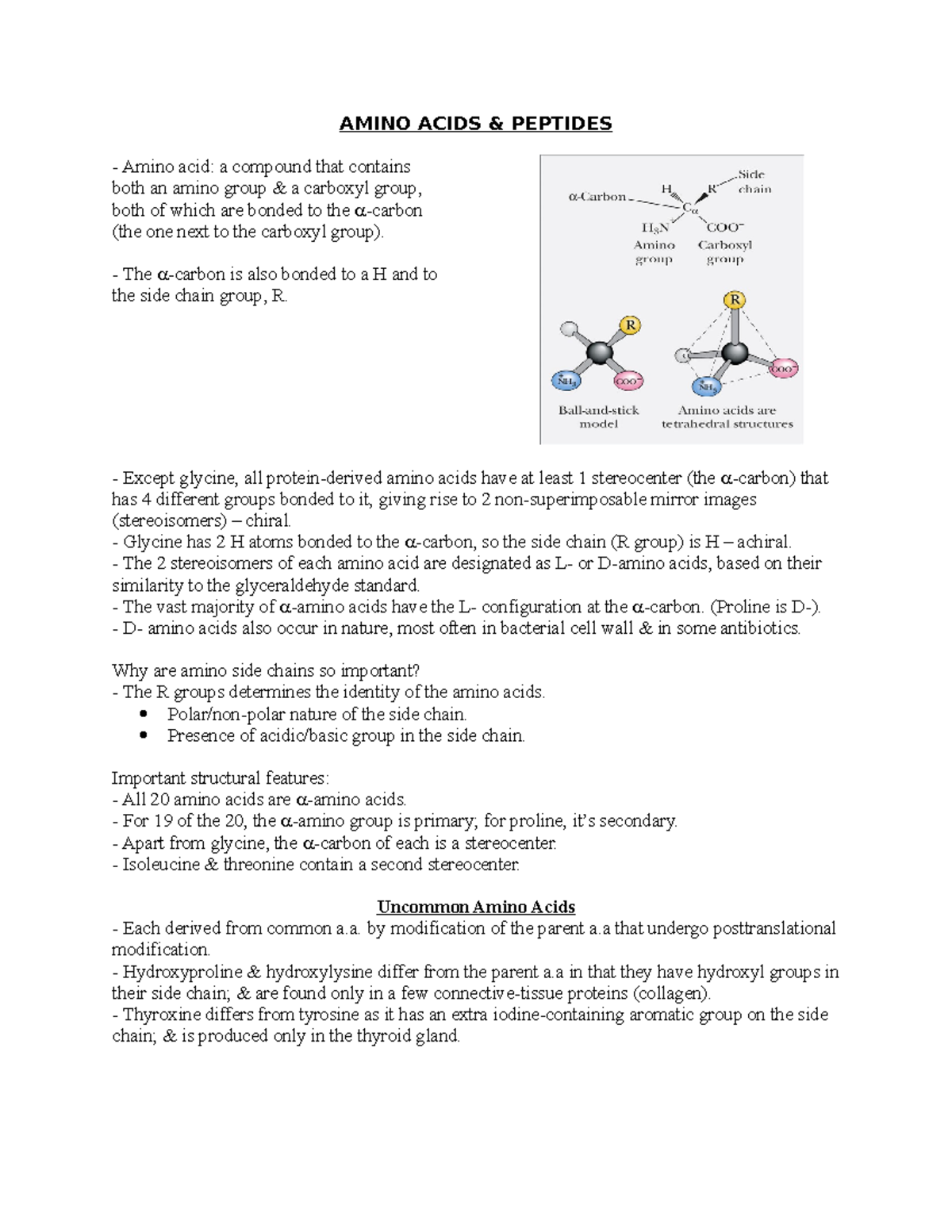 Chapter 3 - Amino acids and Peptides - AMINO ACIDS & PEPTIDES Amino ...