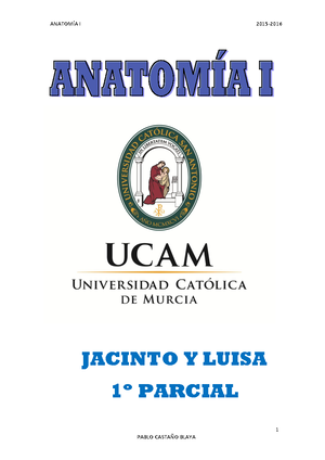 Anatom%C3%8DA+ Humana+2 - ANATOMÕA HUMANA IntroducciÛn y Generalidades ...