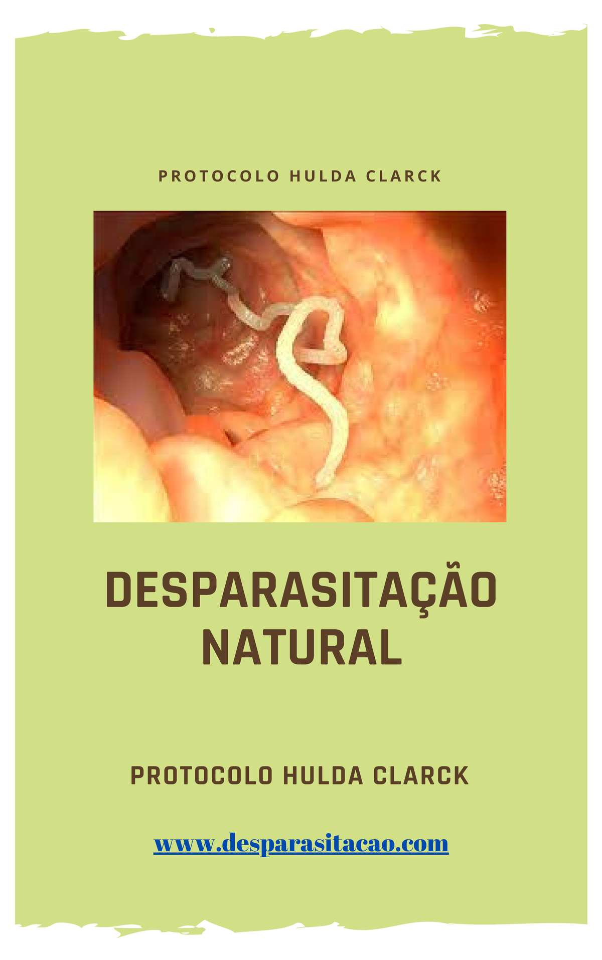Desparasitacao - Hulda Clark - DESPARASITAÇÃO NATURAL PROTOCOLO HULDA CLARCK P R O T O C O L O H ...