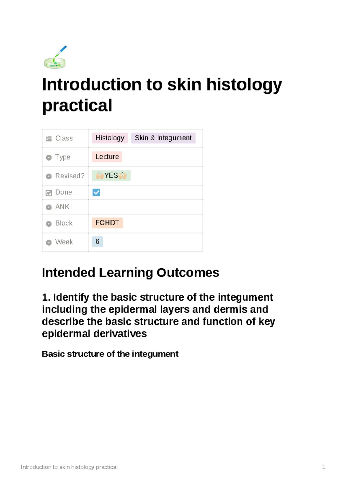 Introduction to skin histology practical - 🧫 Introduction to skin ...