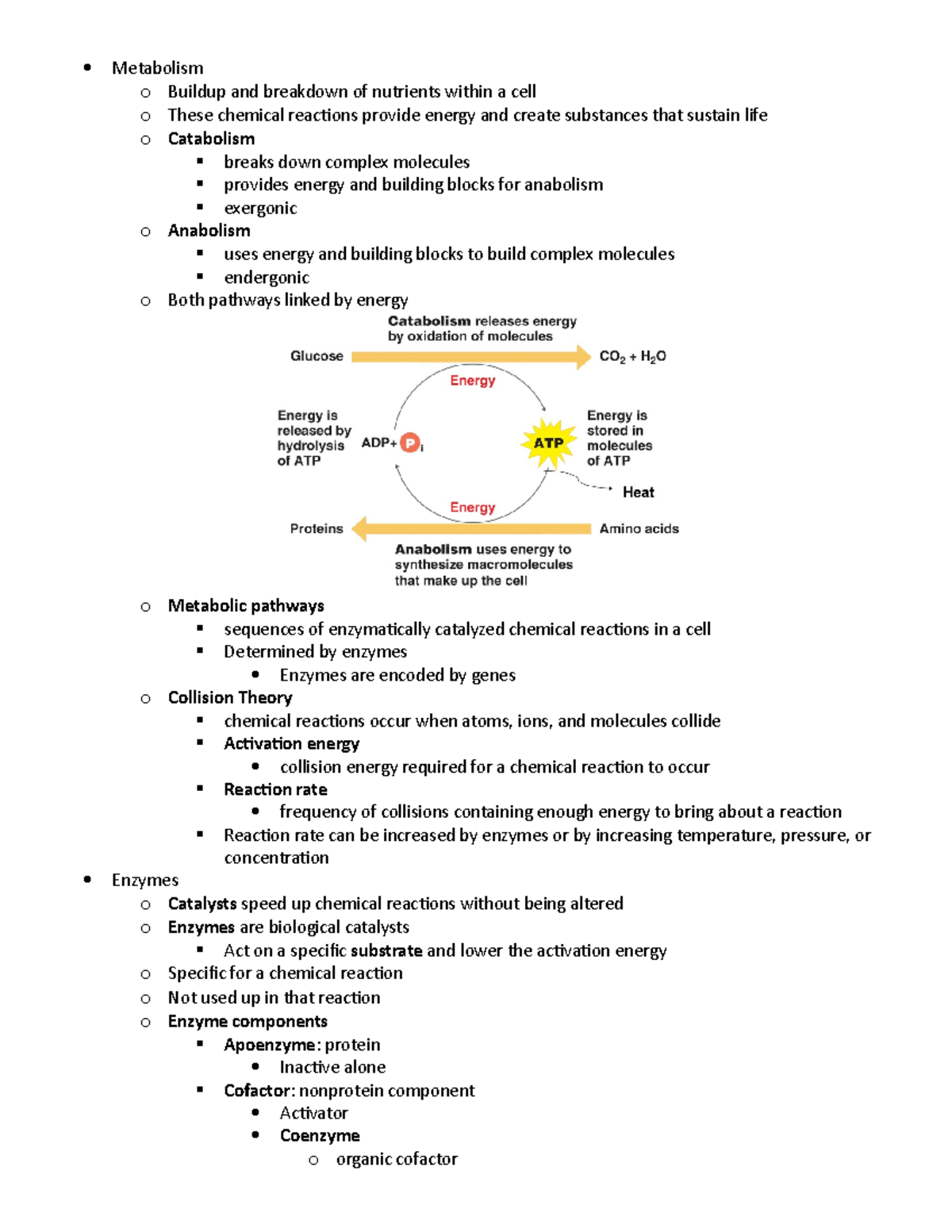 Ch 5 - Prof. Chung - Metabolism o Buildup and breakdown of nutrients ...