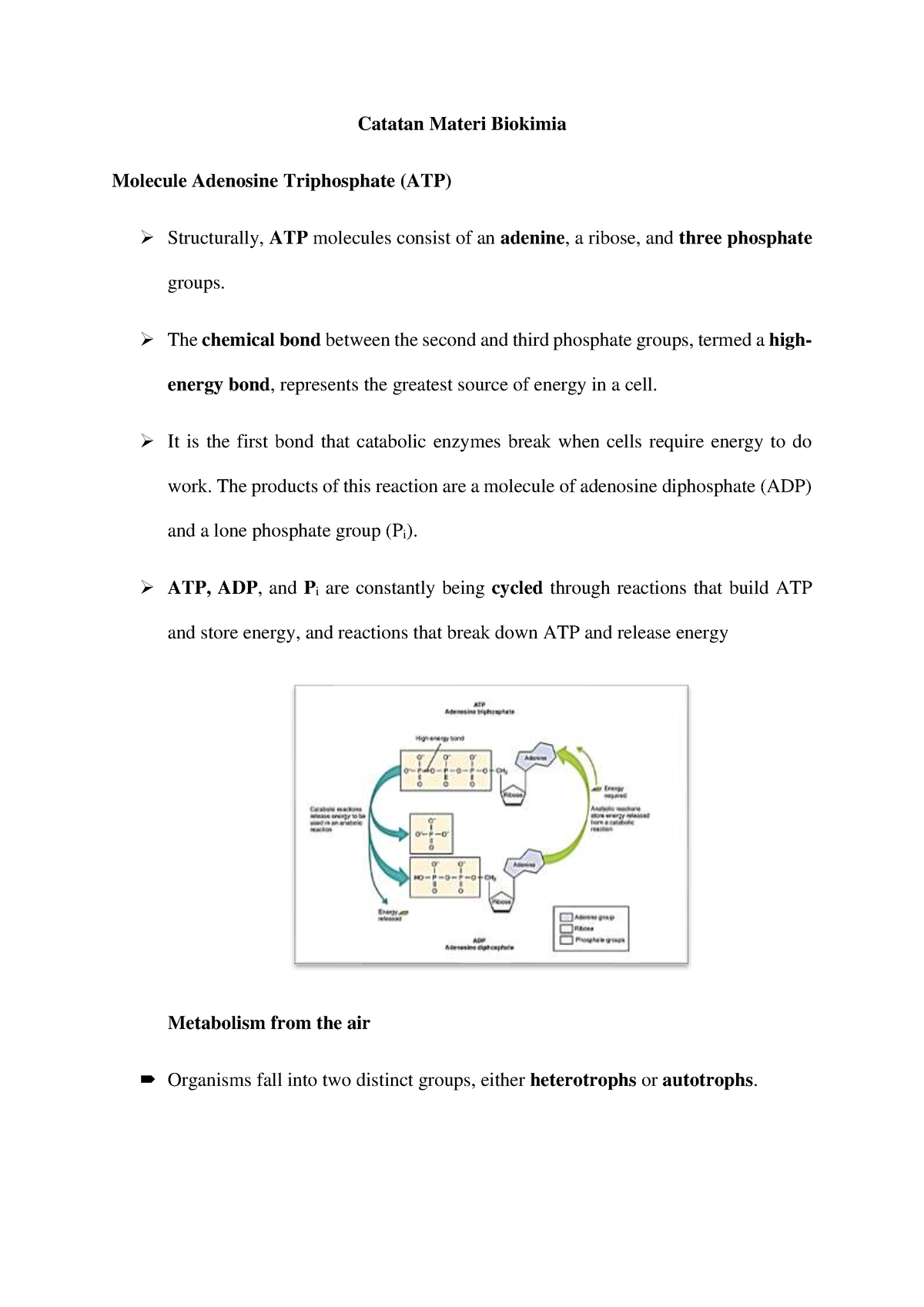 Catatan Materi Biokimia Molecule Adenosine Triphosphate (ATP) - Catatan ...