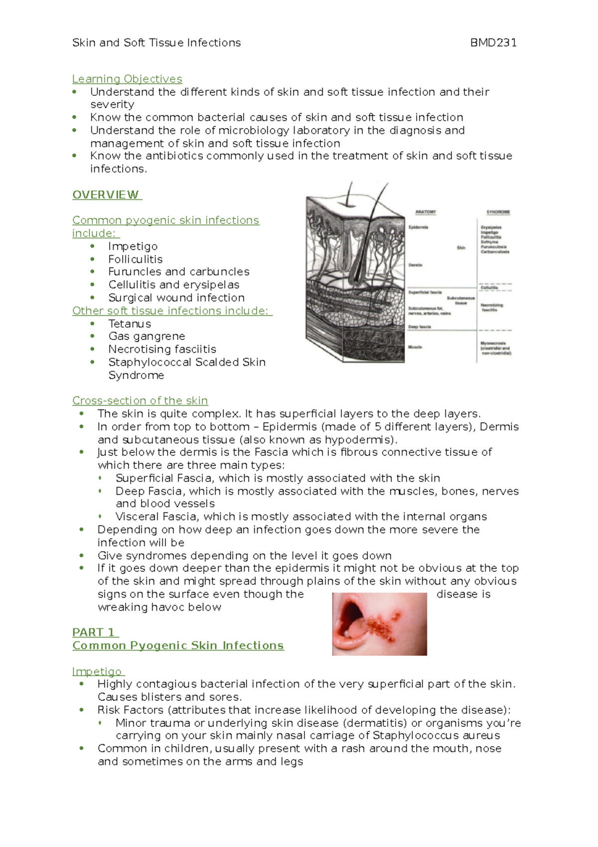 Lecture 7 - Skin and Soft Tissue infections - Skin and Soft Tissue ...