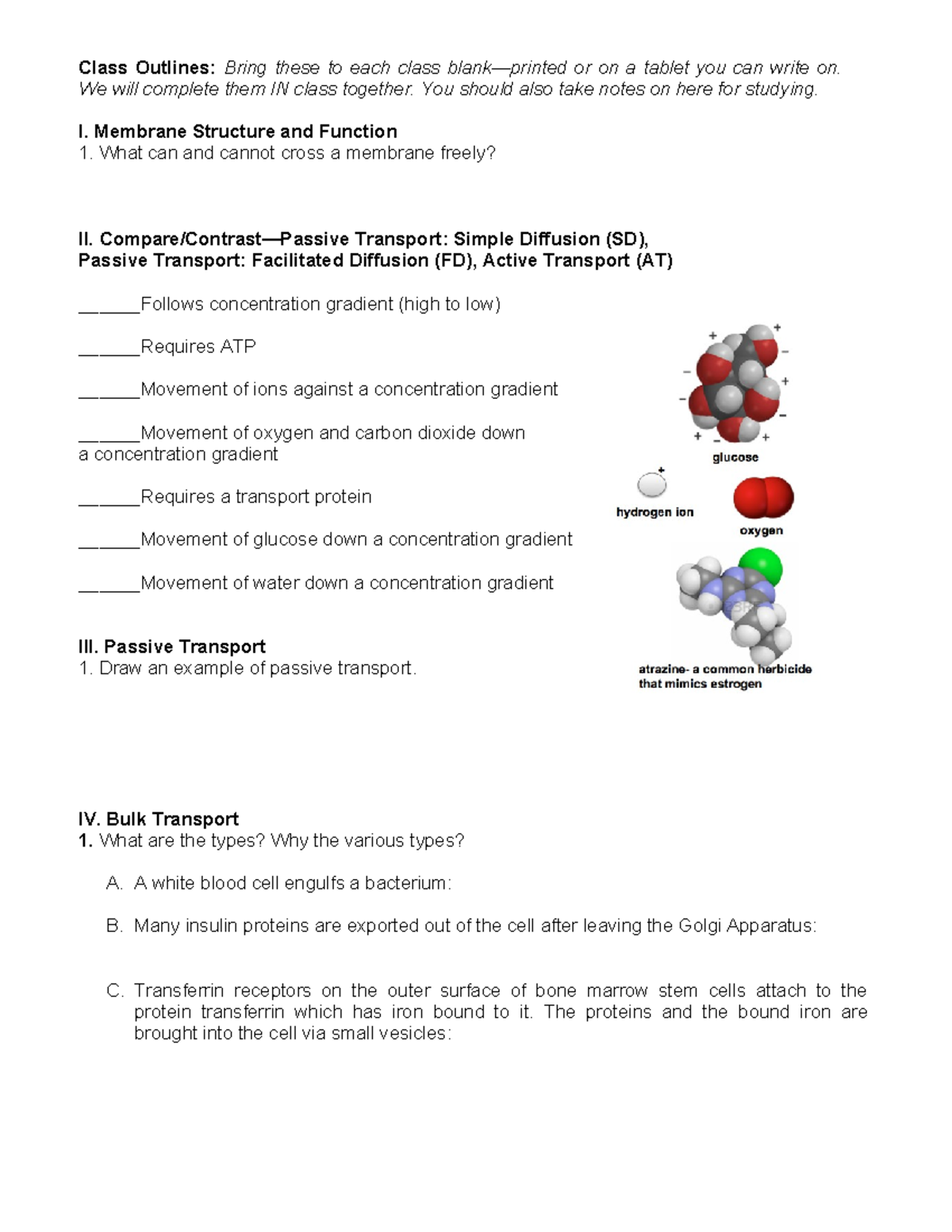 Lesson 4 Class Outline Membrane Structure and Function - Class Outlines ...