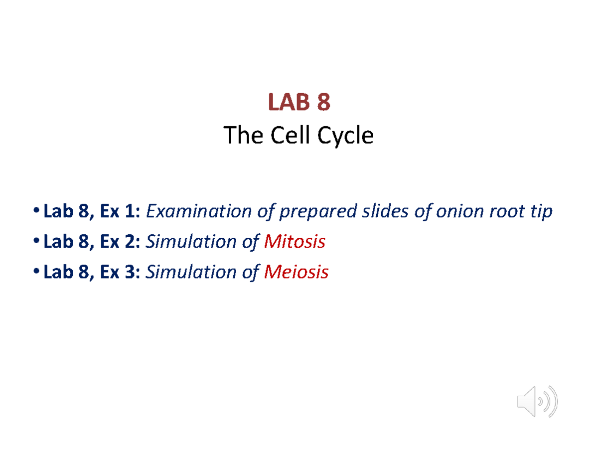 Lab 8 Powerpoint - The teacher is Brenna Ritchie. Focuses on The Cell ...