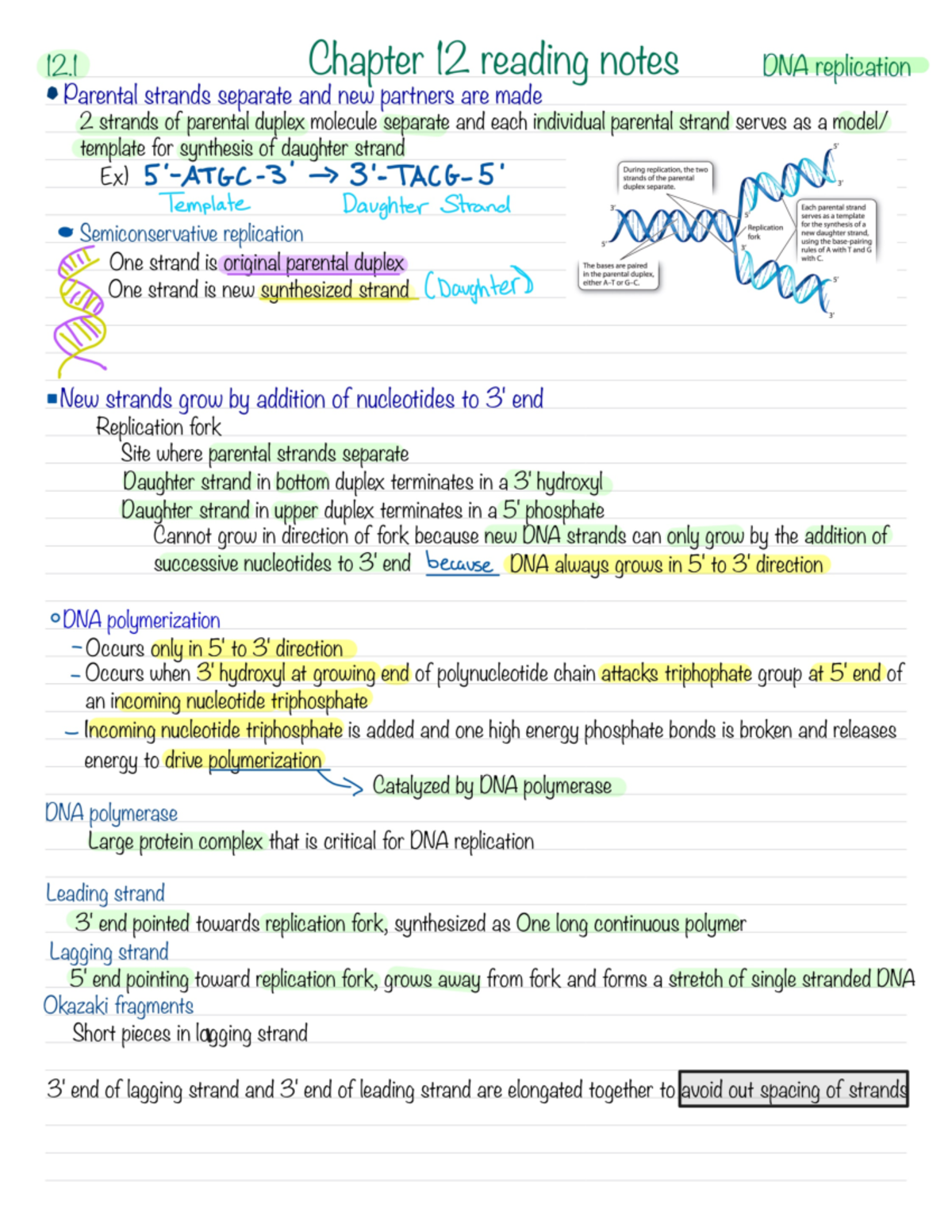 Bio 140 Ch 12.1. Reading Notes - BIO 140 - Studocu